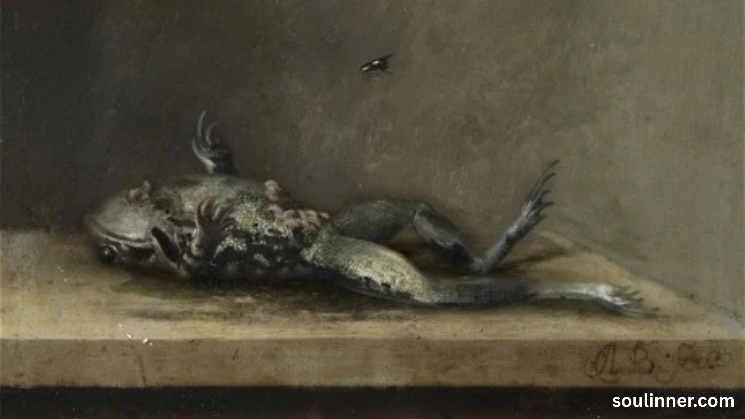spiritual meaning of a dead frog