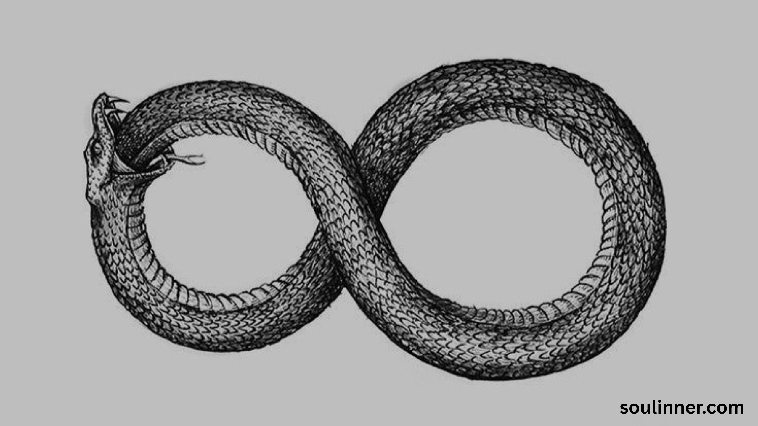 spiritual meaning of a snake crossing your path