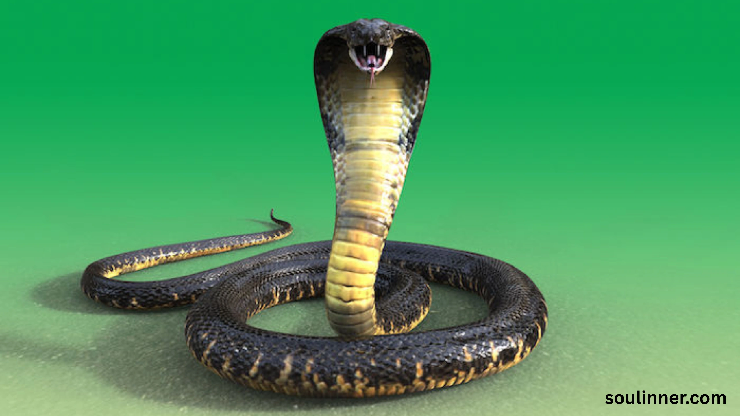 spiritual meaning of a snake crossing your path