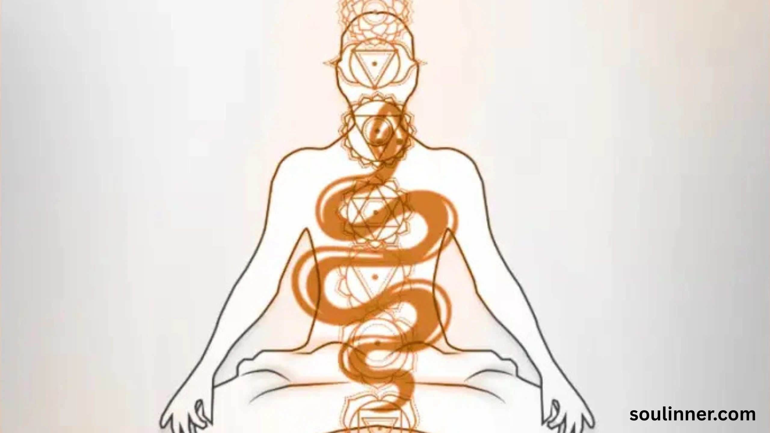 spiritual meaning of a snake crossing your path