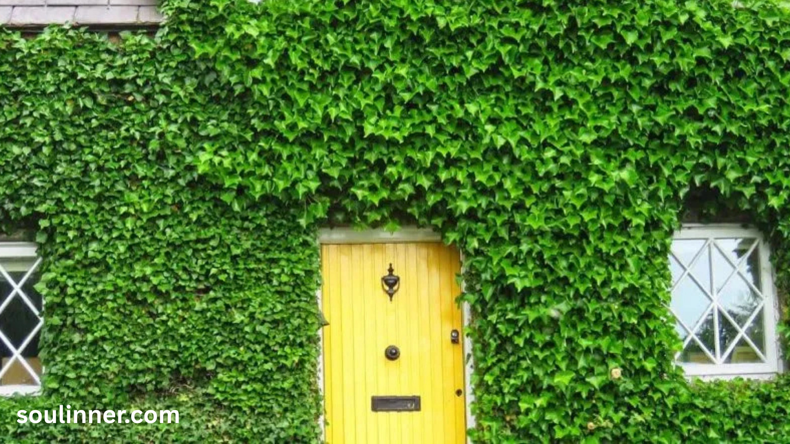spiritual meaning of a yellow door