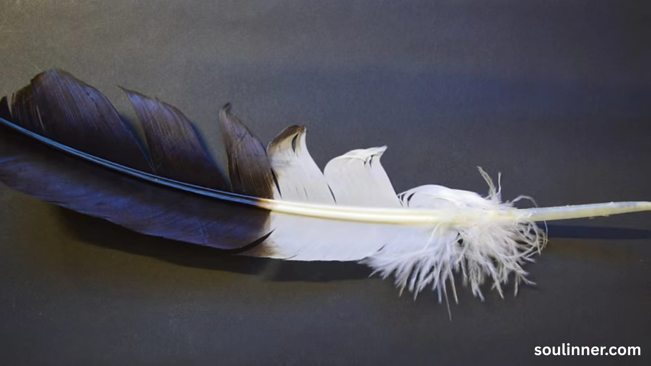spiritual meaning of brown feathers