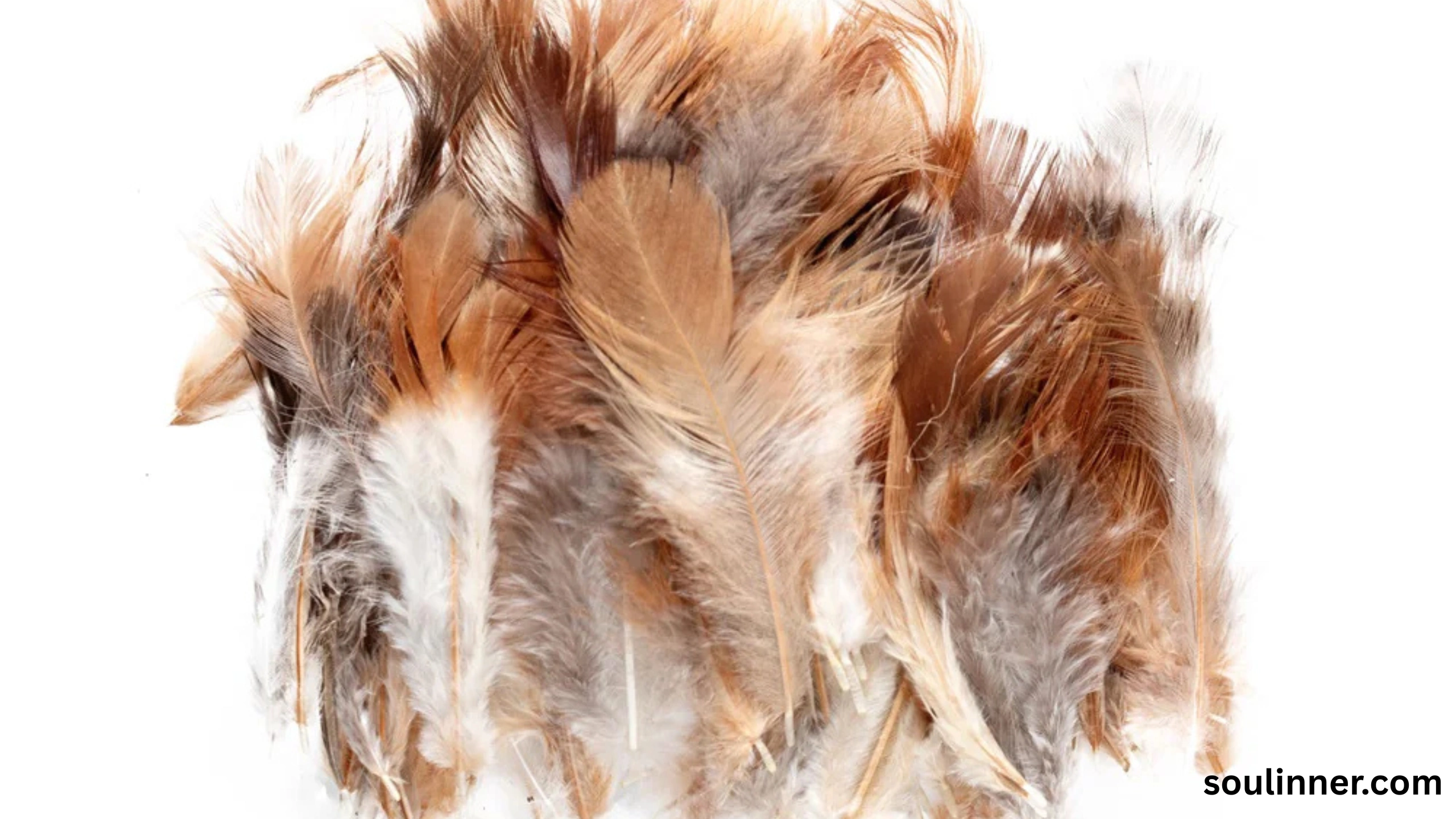 spiritual meaning of brown feathers