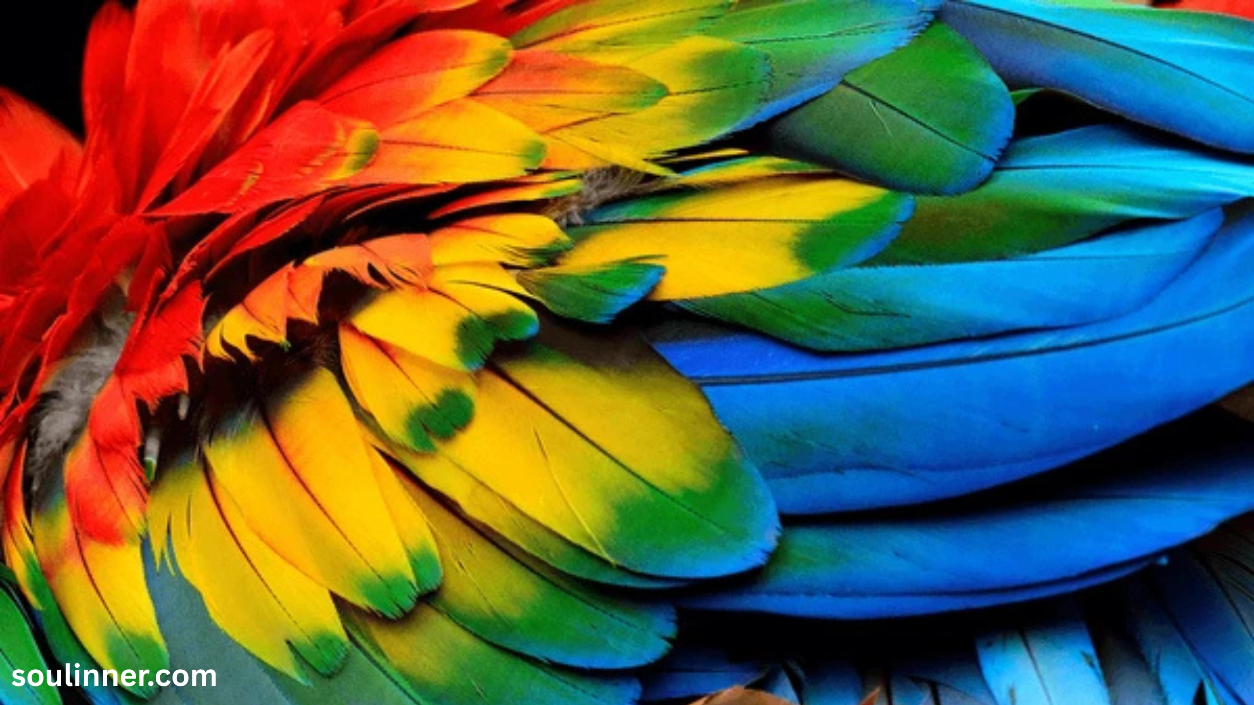 spiritual meaning of brown feathers