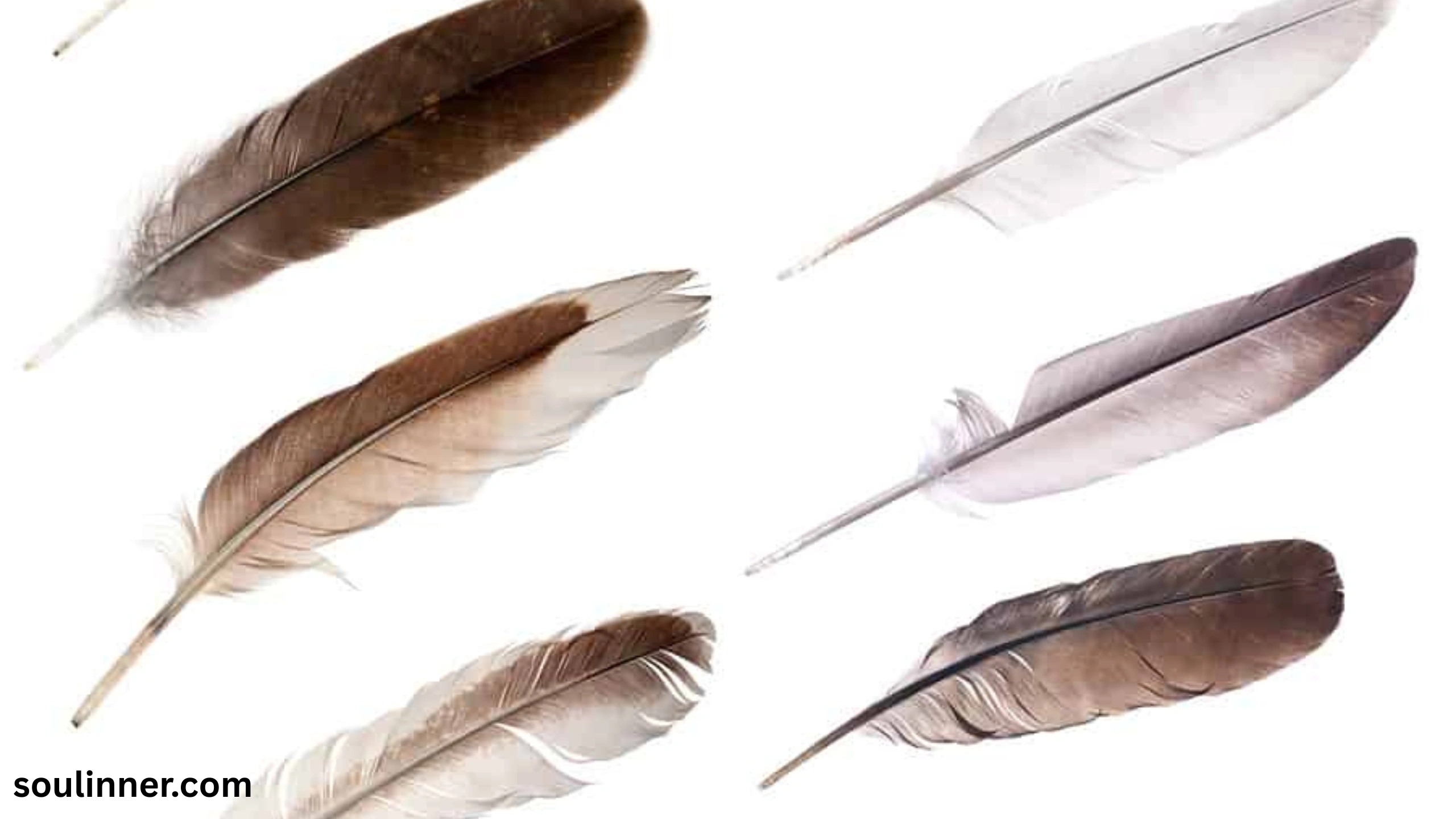 spiritual meaning of brown feathers