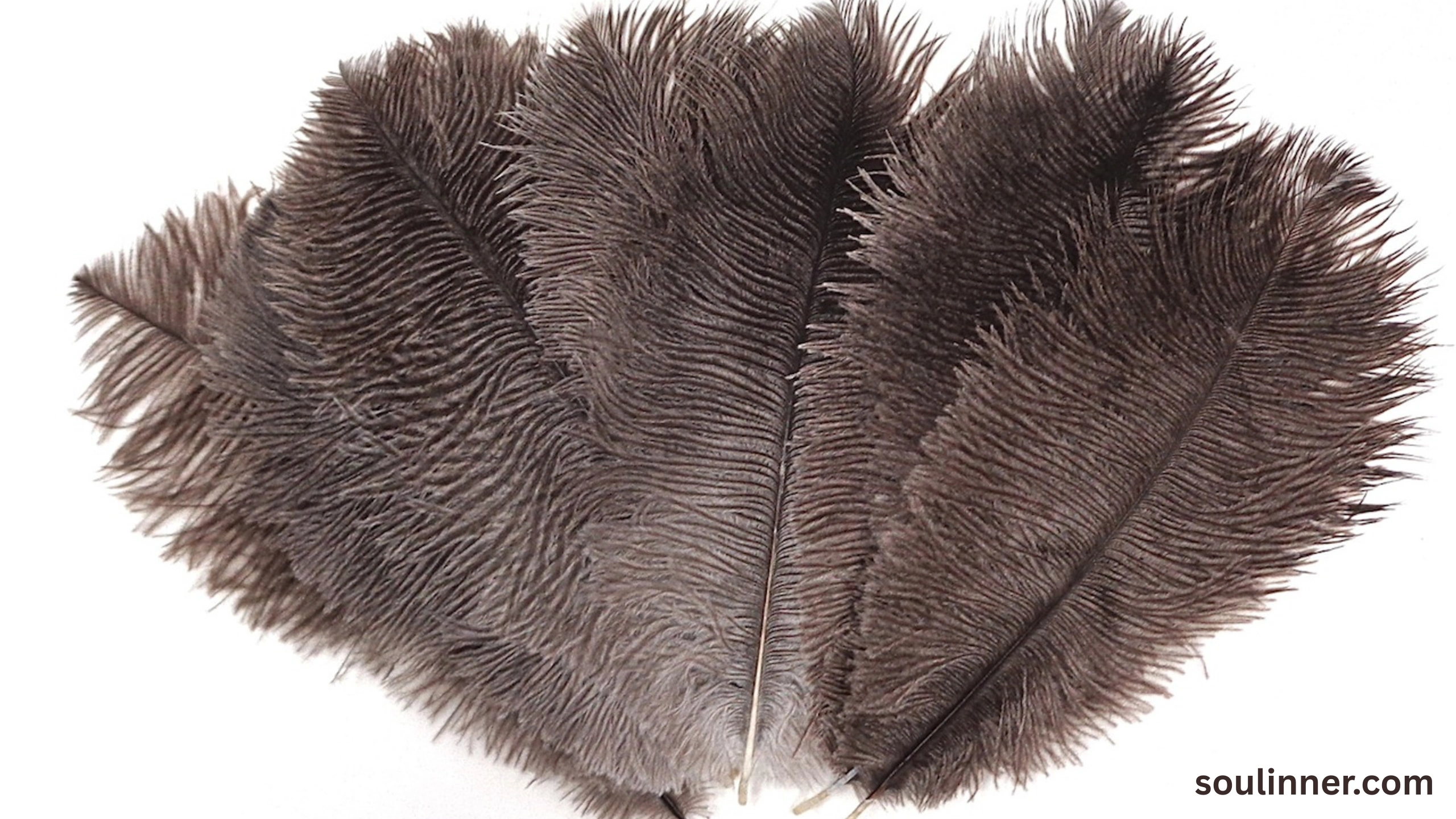 spiritual meaning of brown feathers