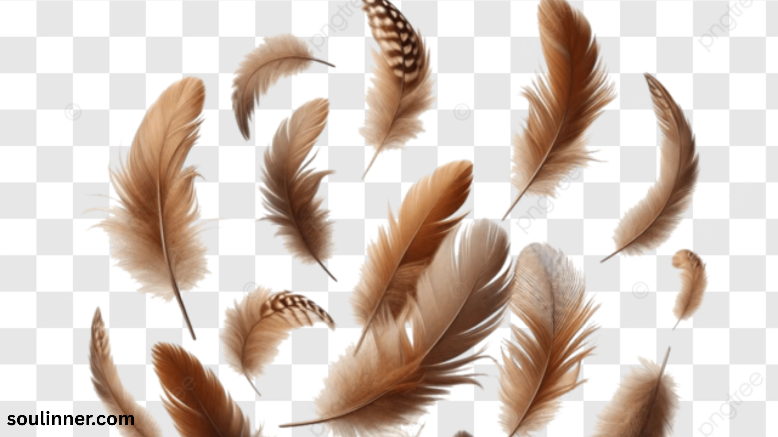 spiritual meaning of brown feathers