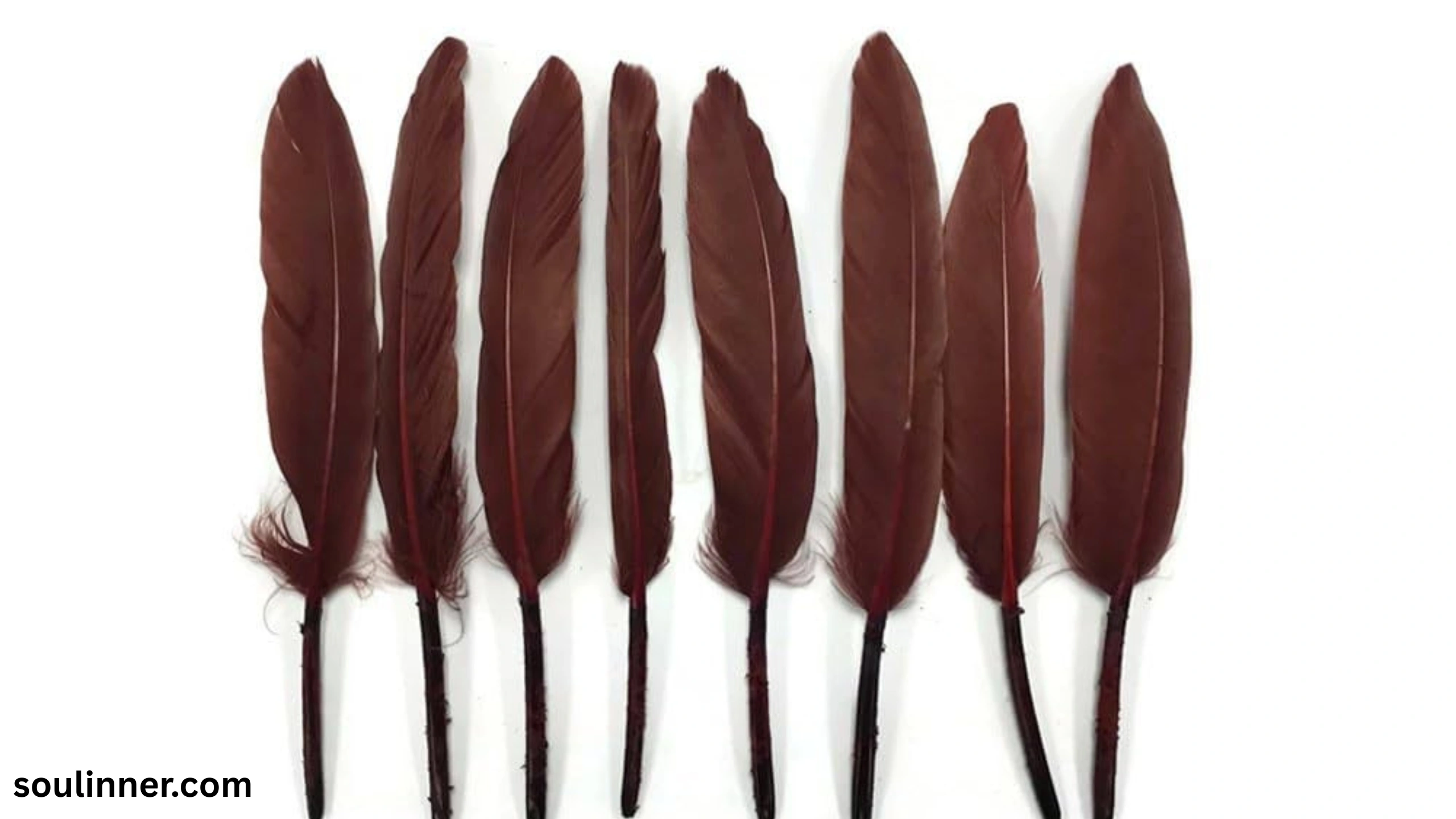 spiritual meaning of brown feathers