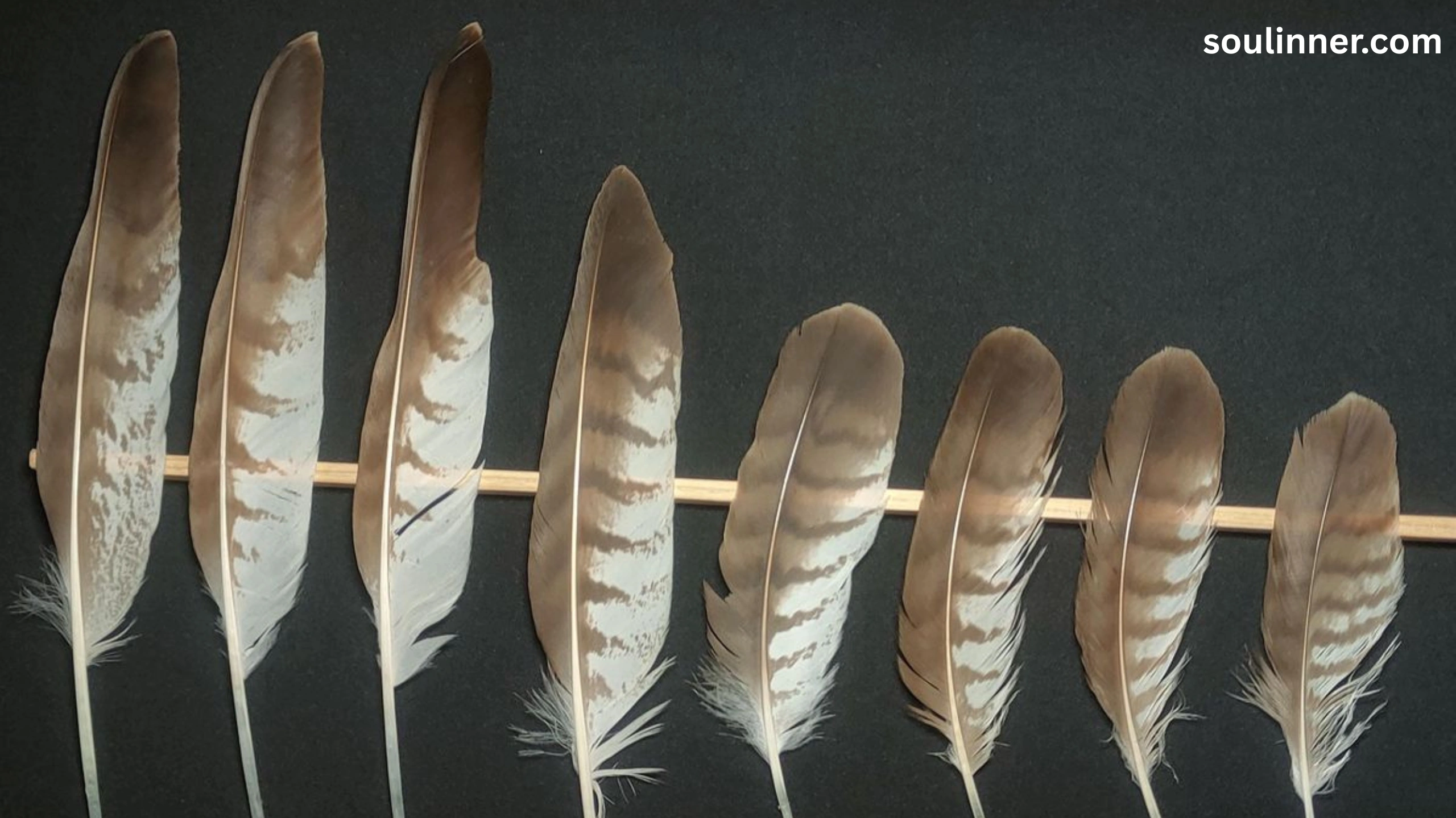 spiritual meaning of brown feathers