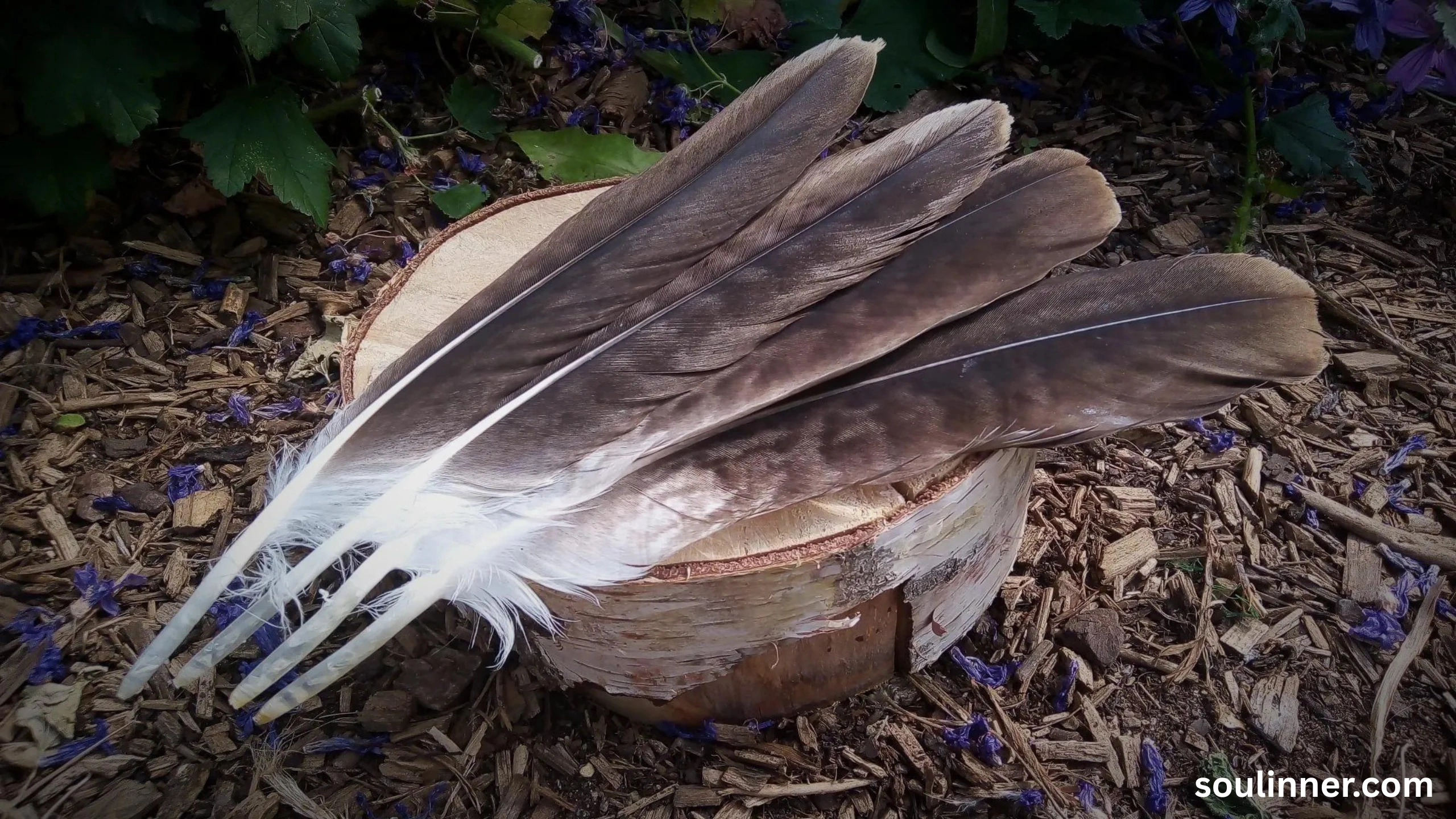 spiritual meaning of brown feathers