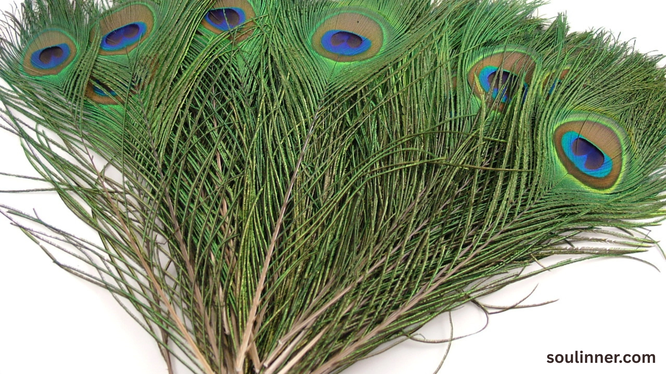 spiritual meaning of brown feathers