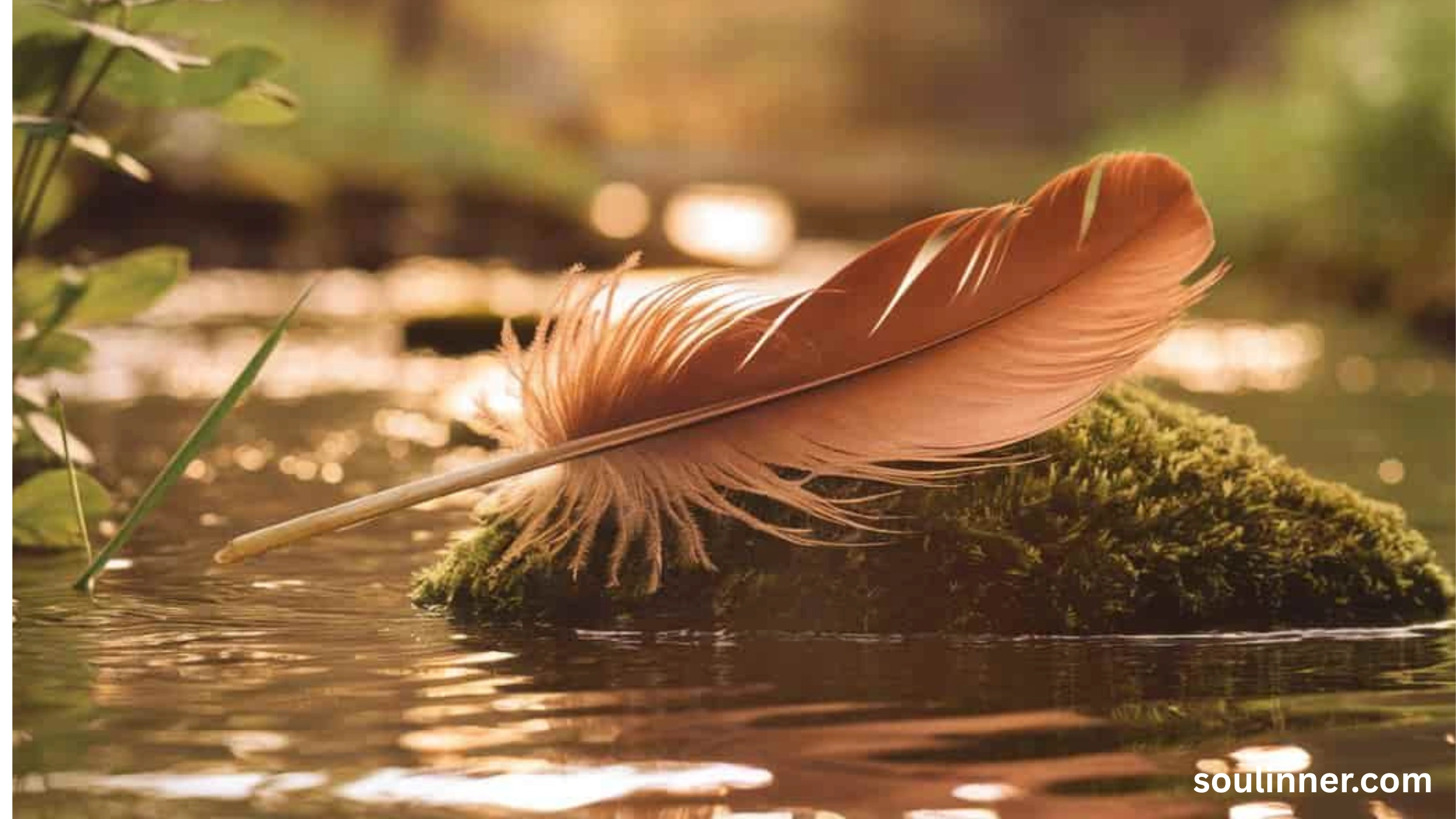 spiritual meaning of brown feathers