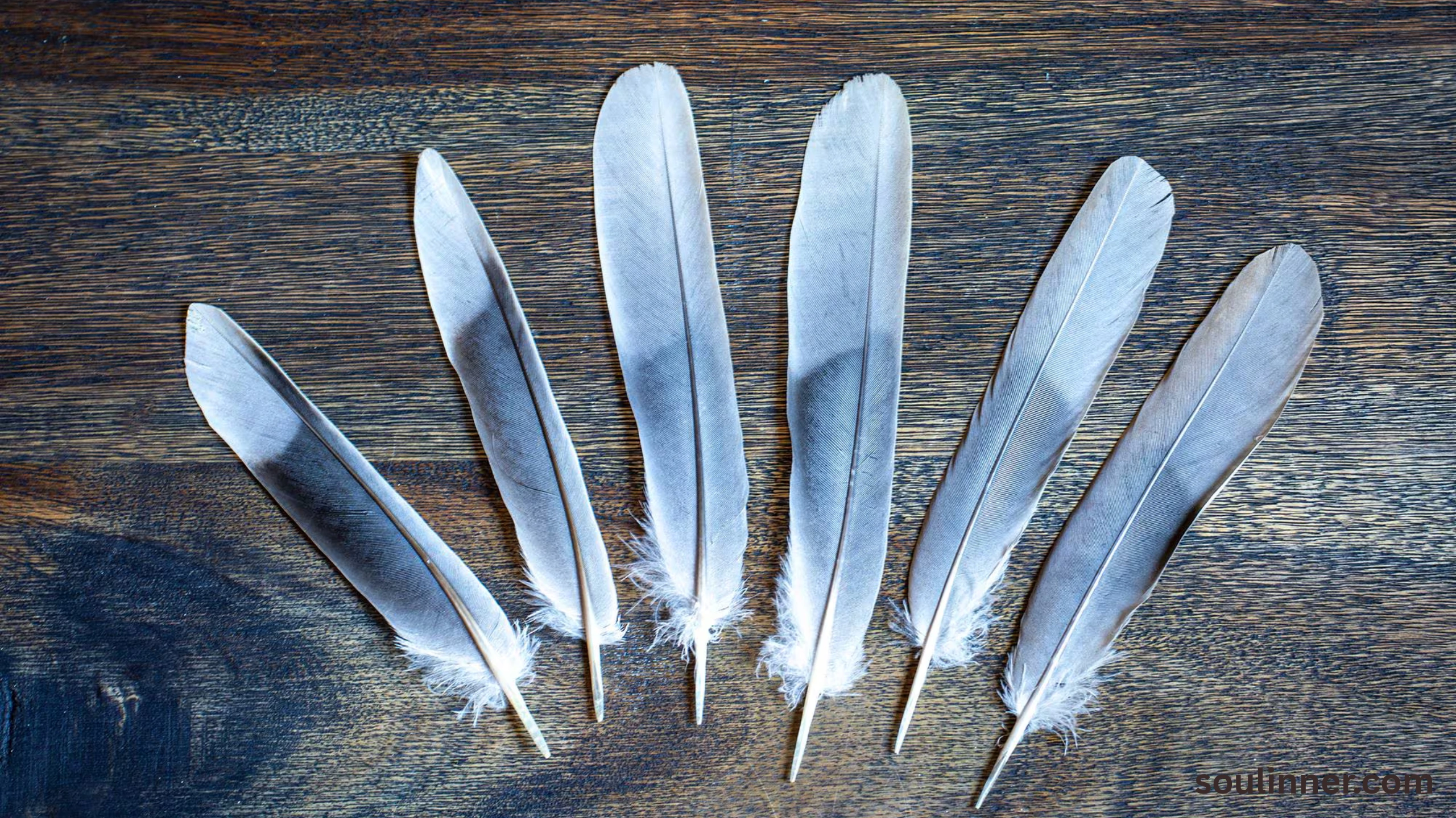spiritual meaning of brown feathers