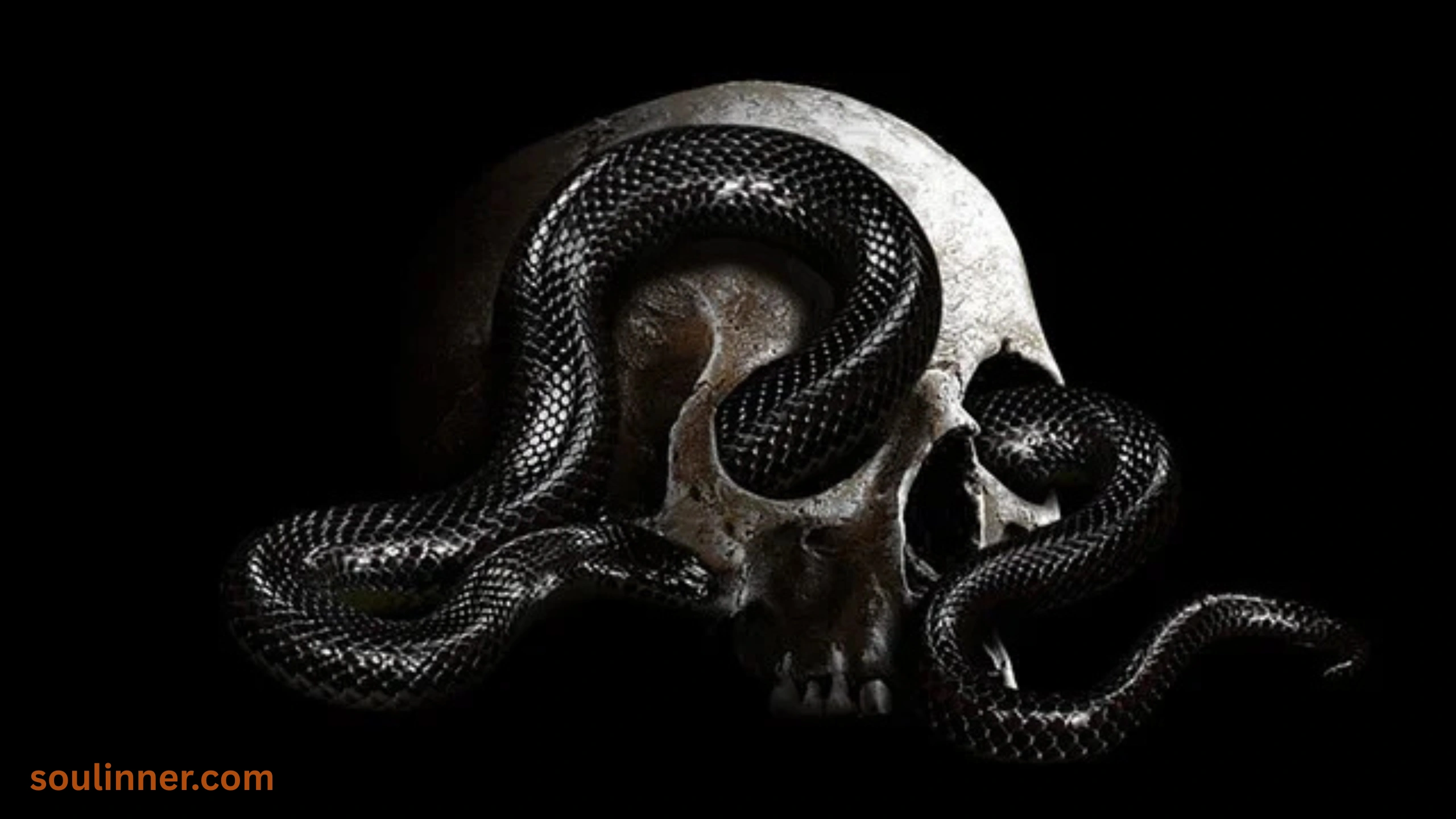 spiritual meaning of dead snake