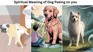 spiritual meaning of dog peeing on you