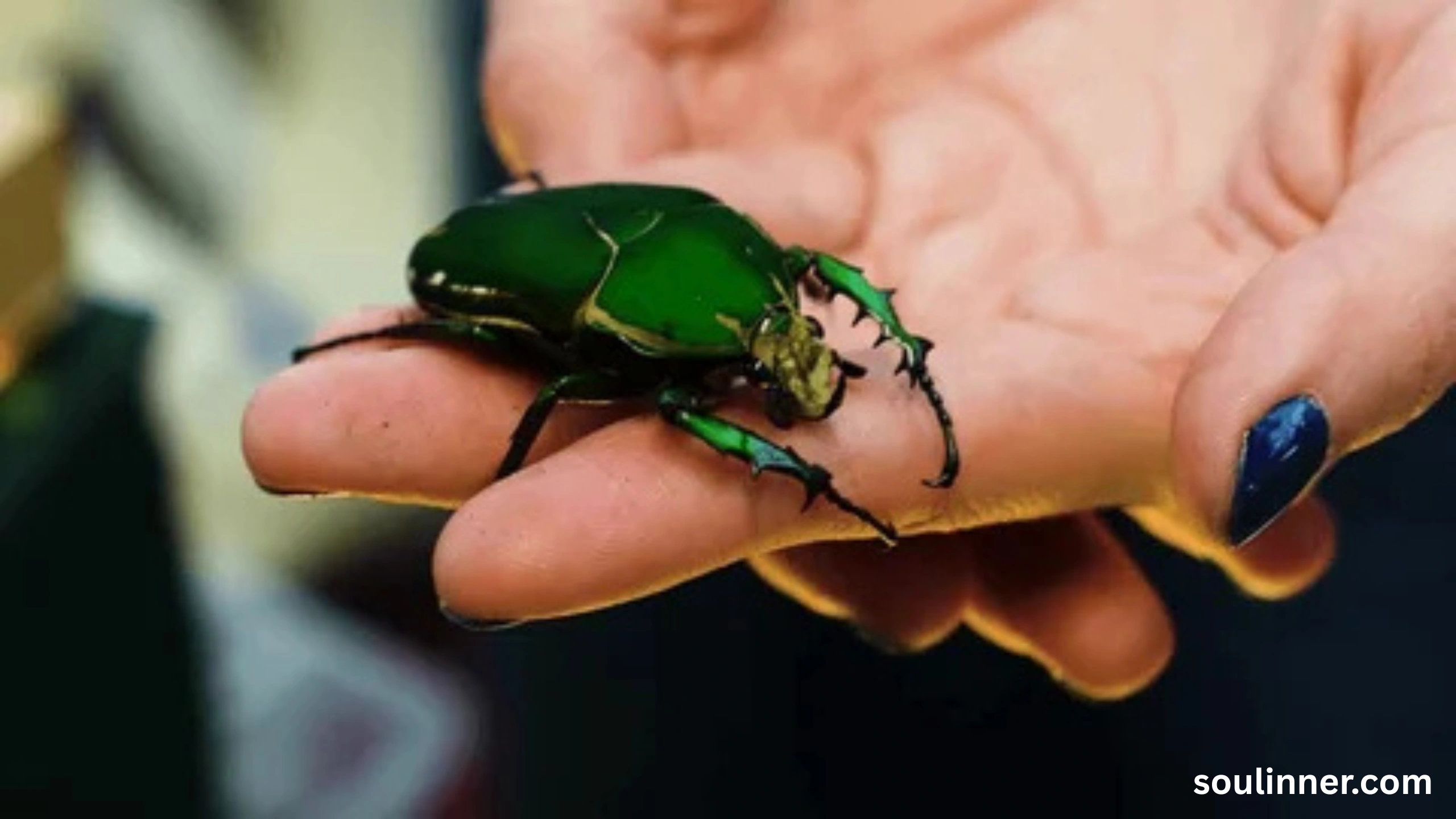 spiritual meaning of green beetle