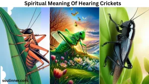 spiritual meaning of hearing crickets