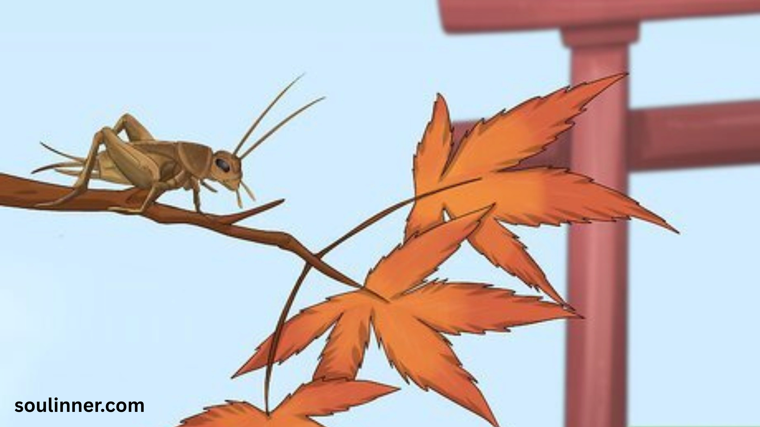 spiritual meaning of hearing crickets