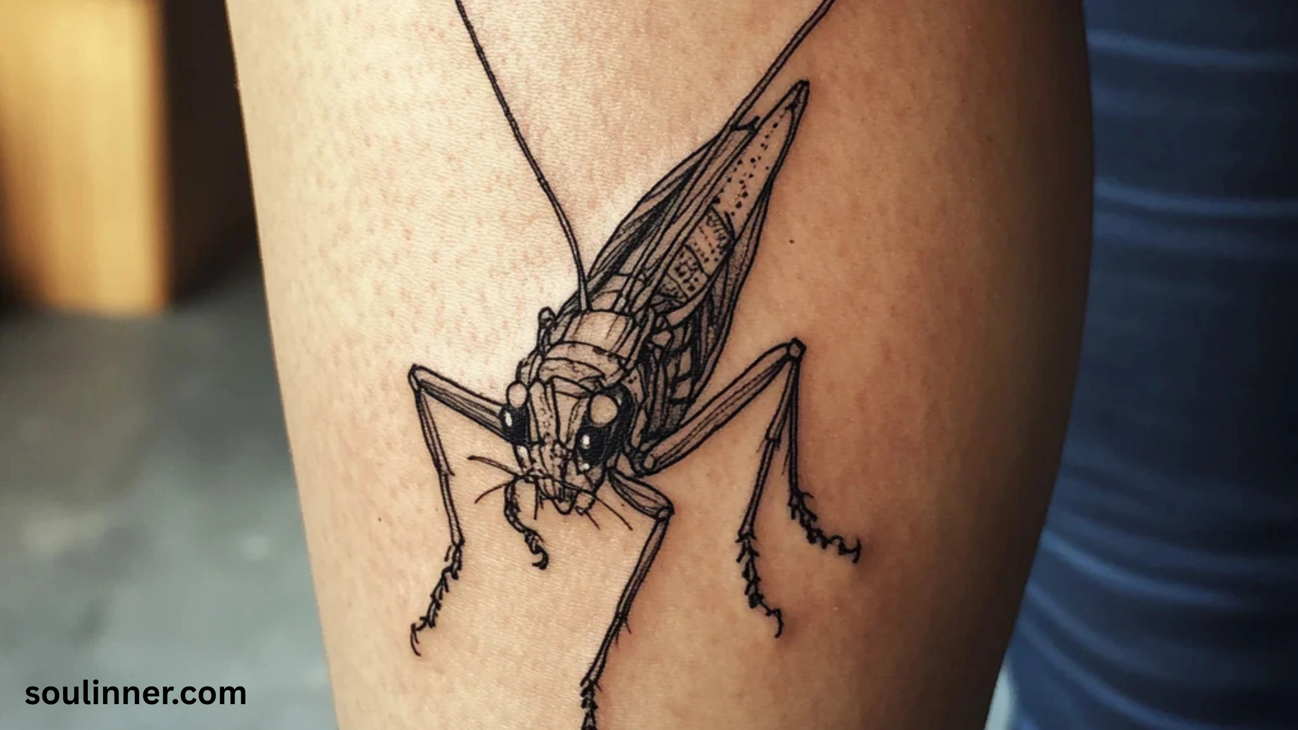spiritual meaning of hearing crickets