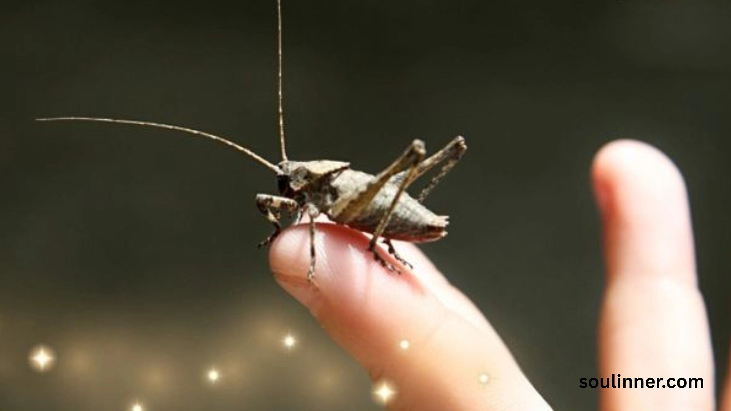 spiritual meaning of hearing crickets