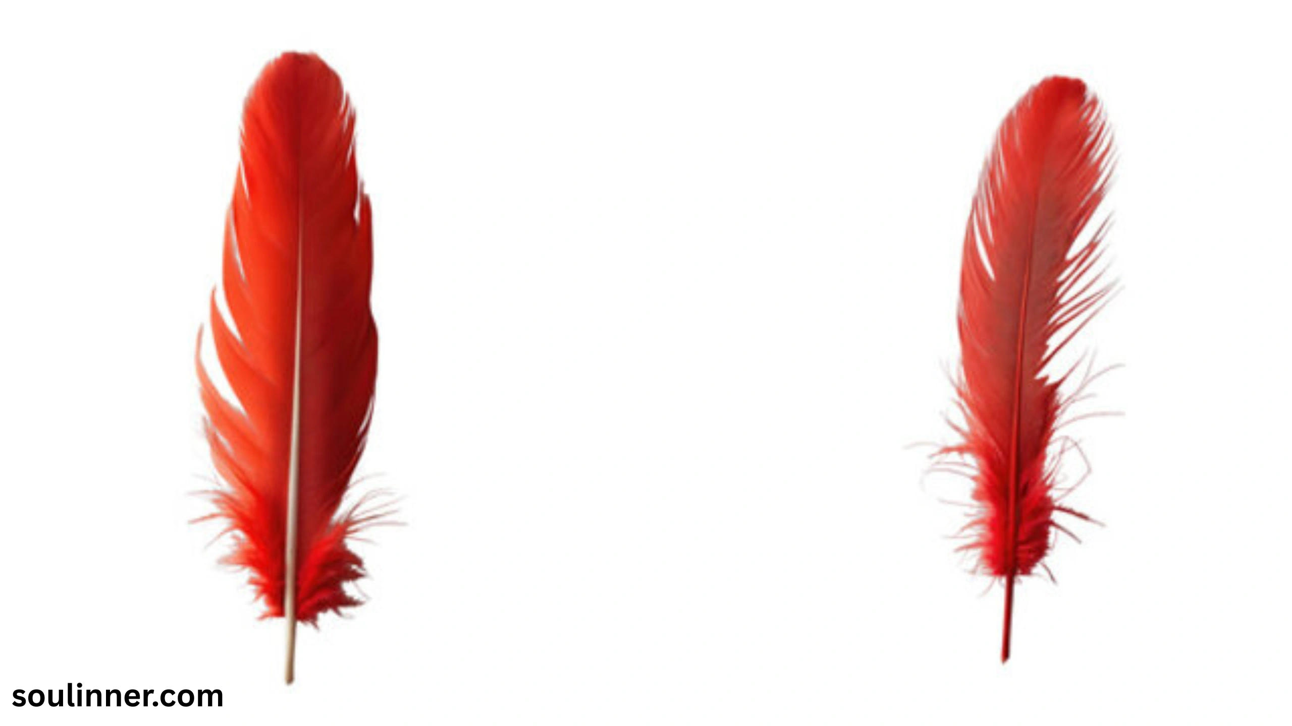 spiritual meaning of red feather