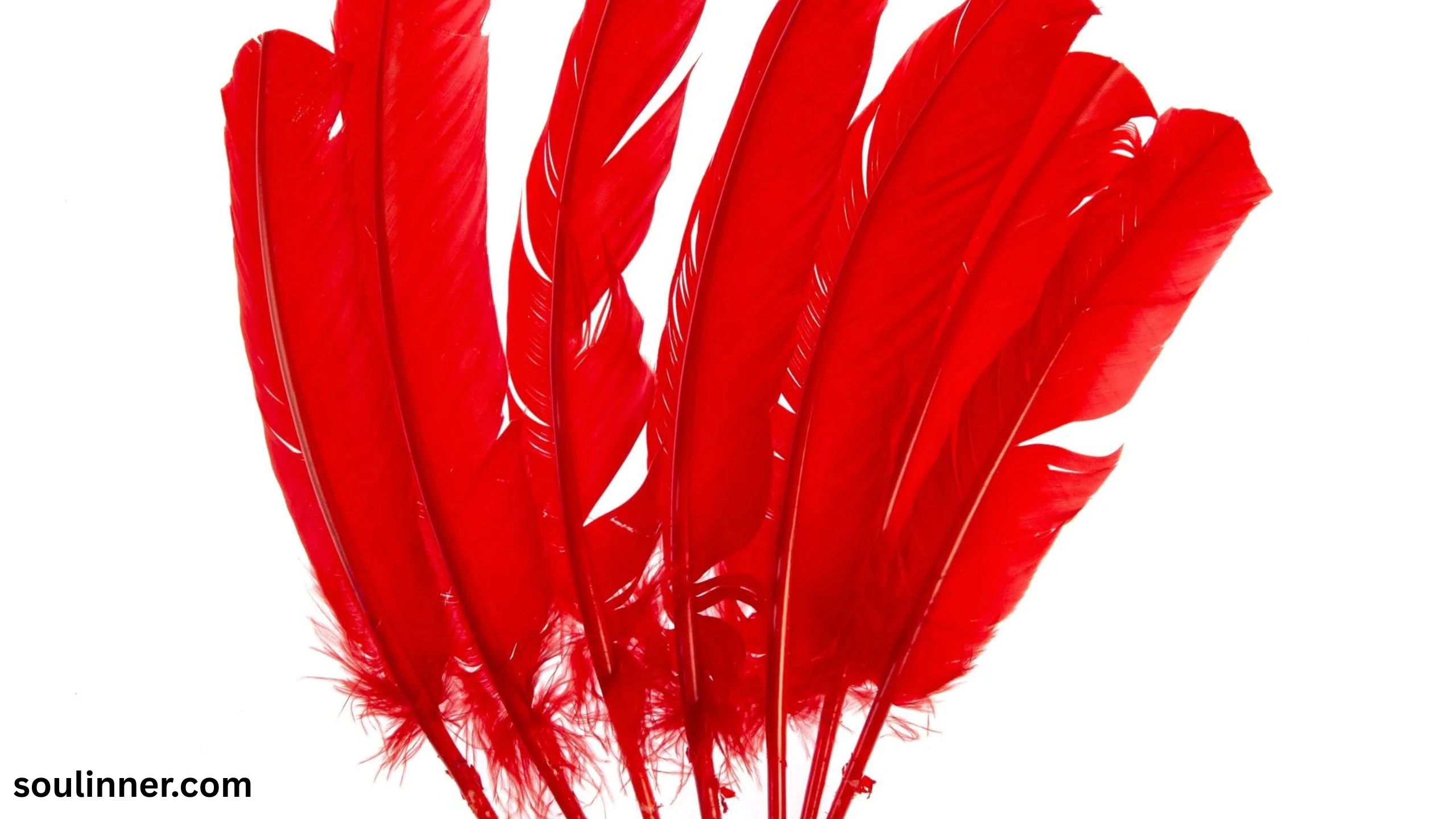spiritual meaning of red feather