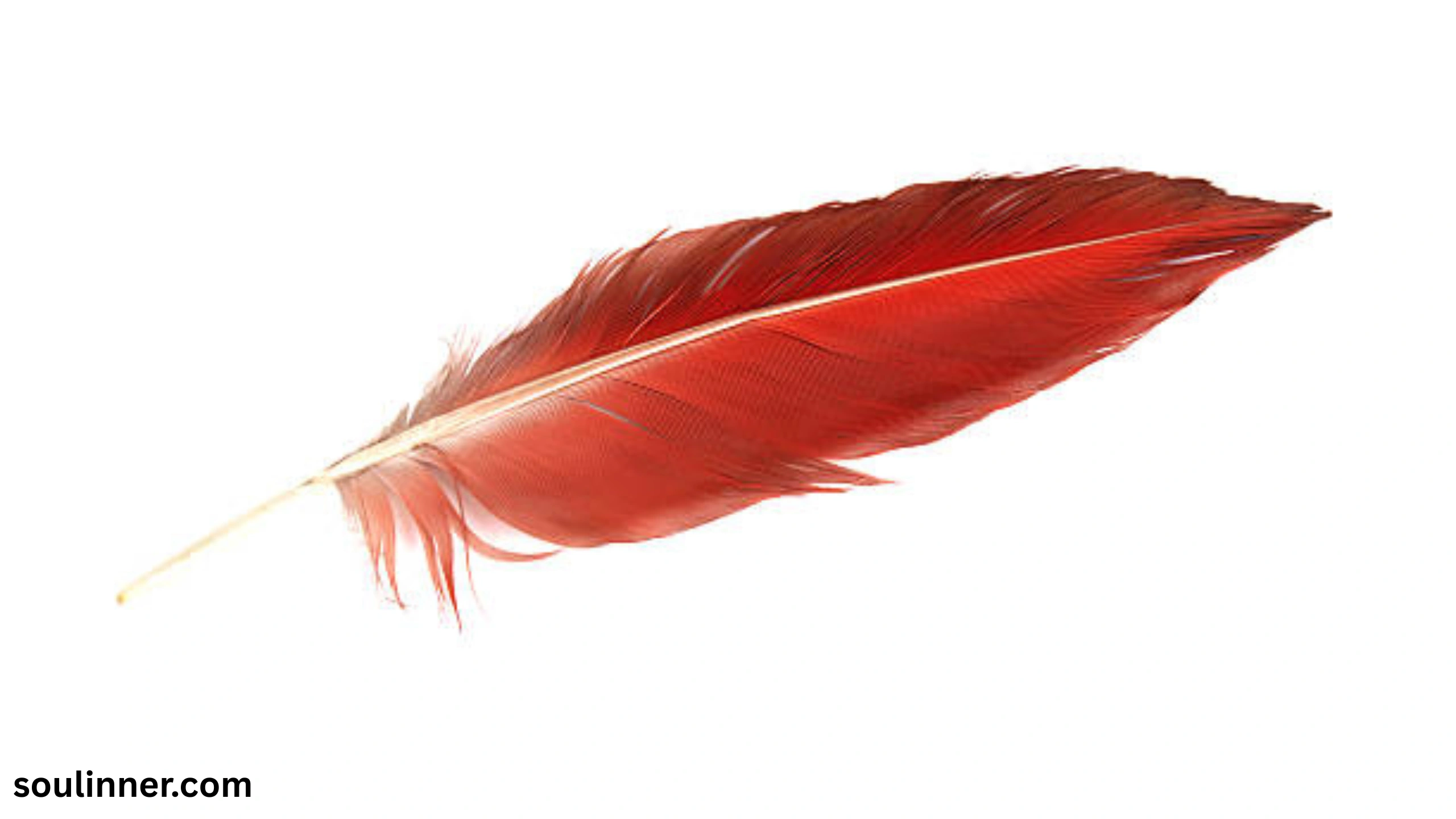 spiritual meaning of red feather