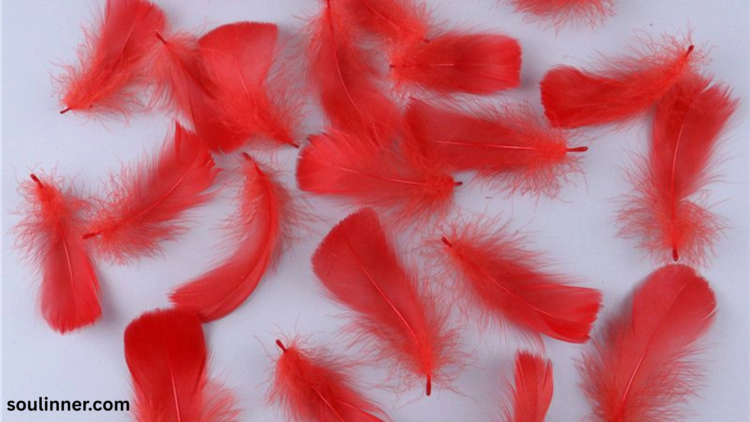 spiritual meaning of red feather