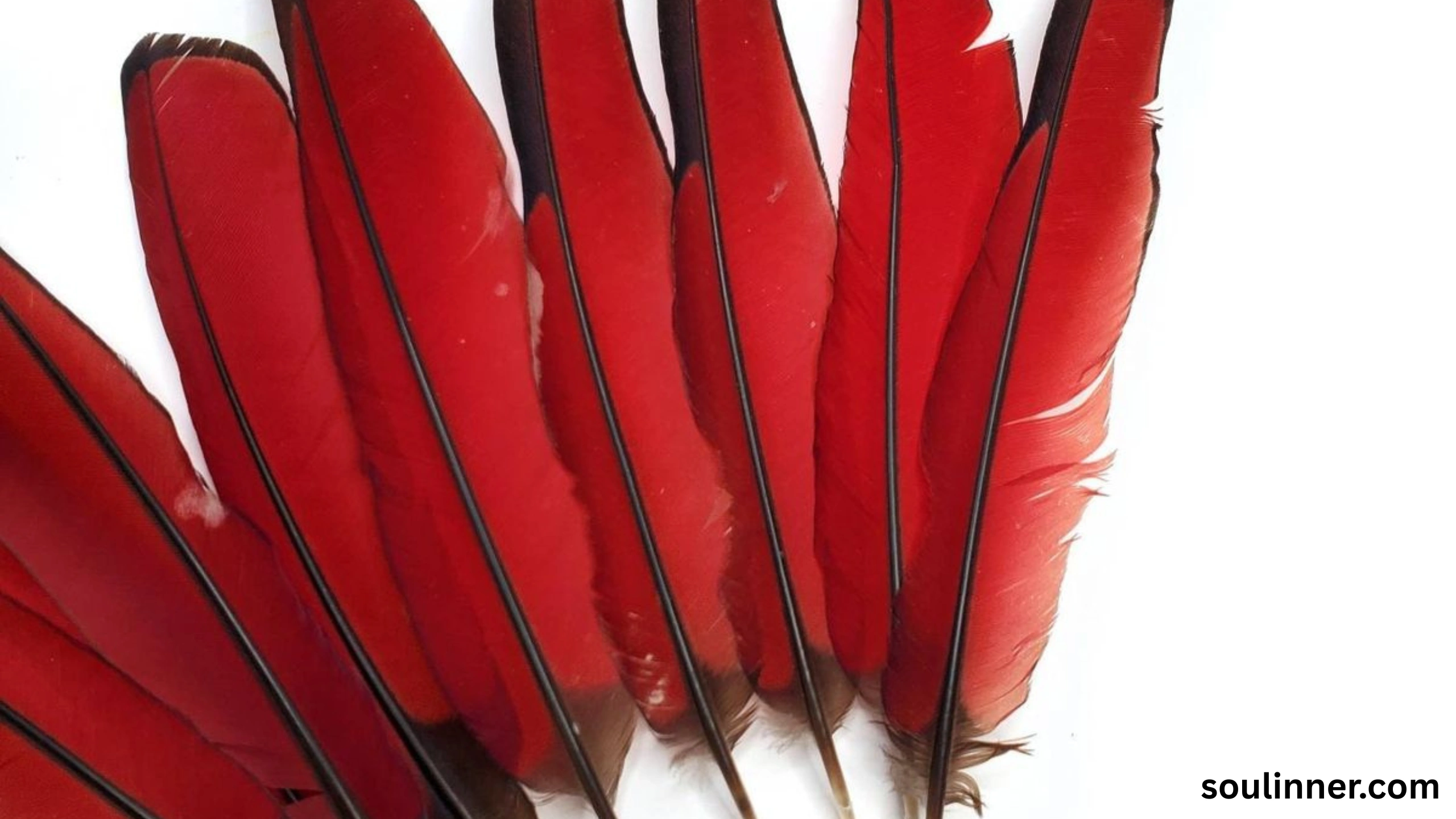 spiritual meaning of red feather
