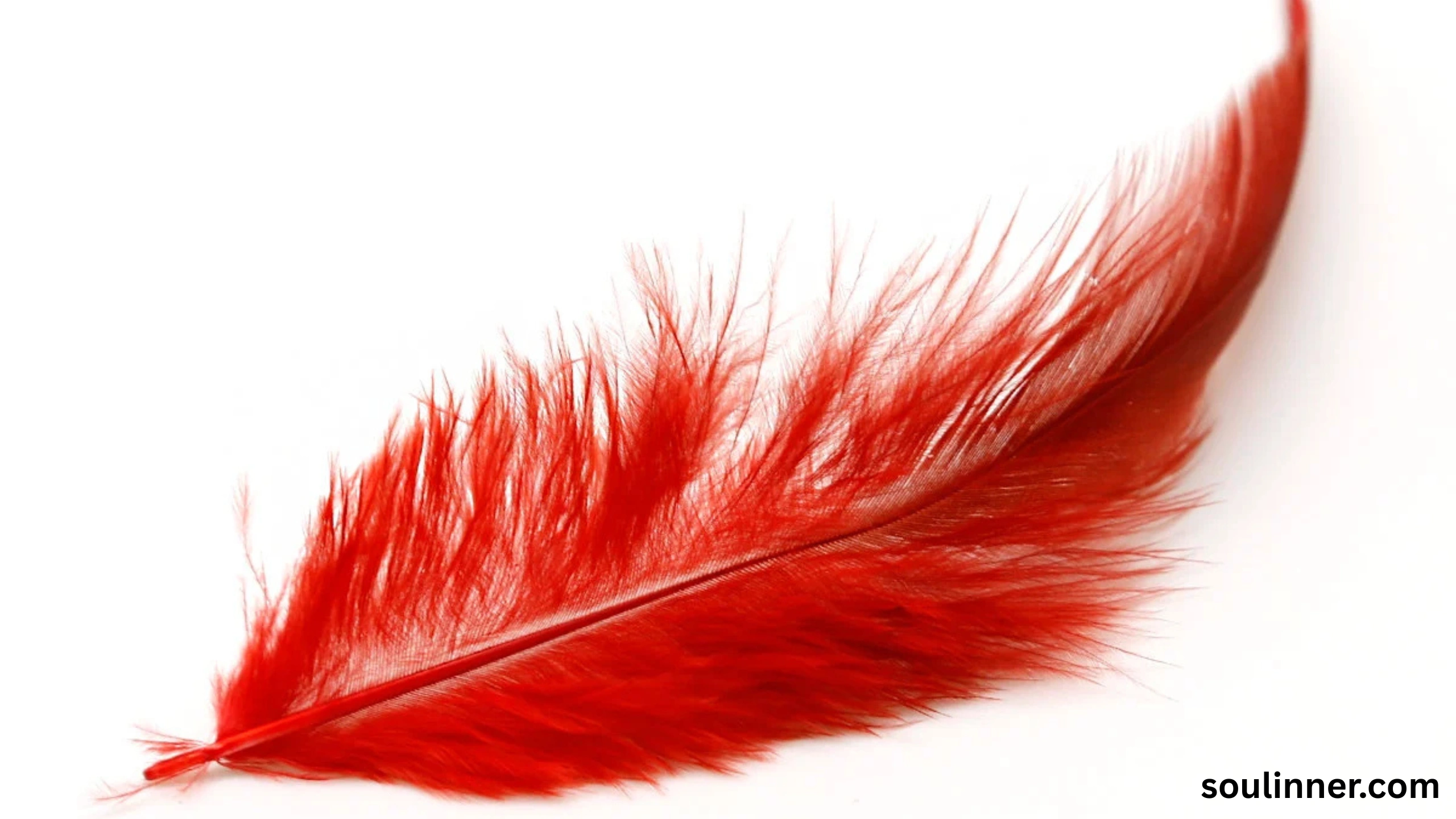 spiritual meaning of red feather