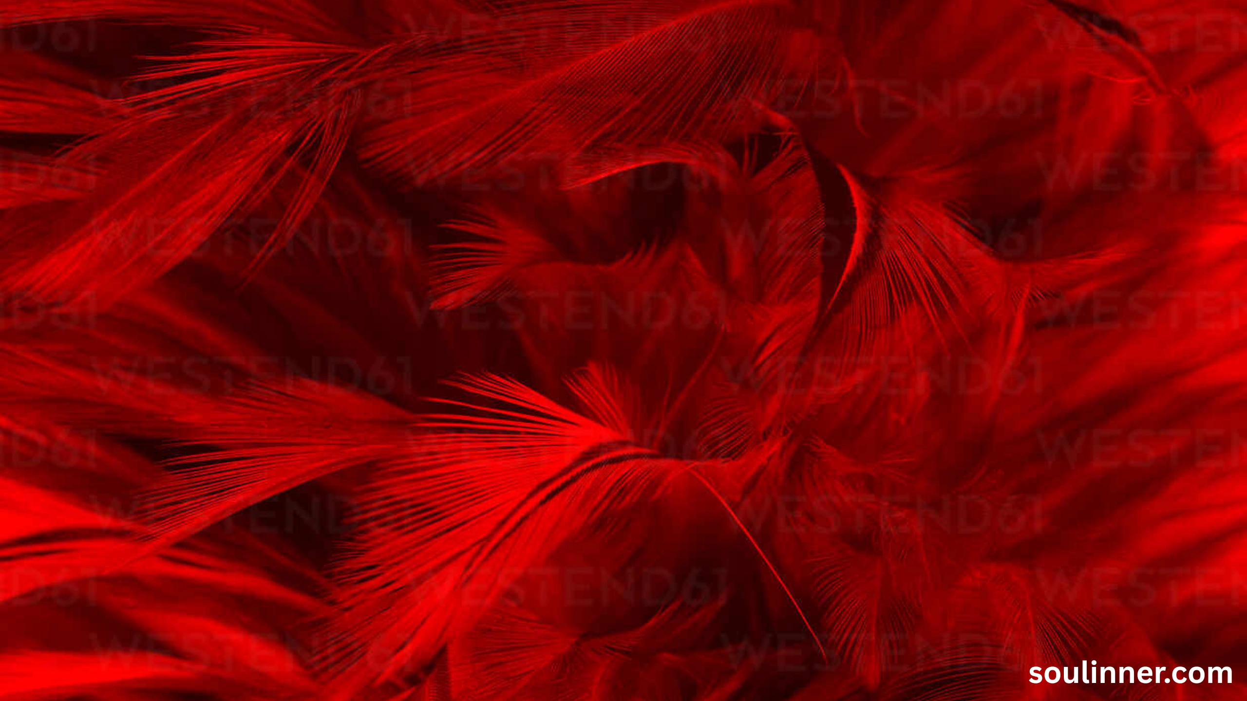 spiritual meaning of red feather
