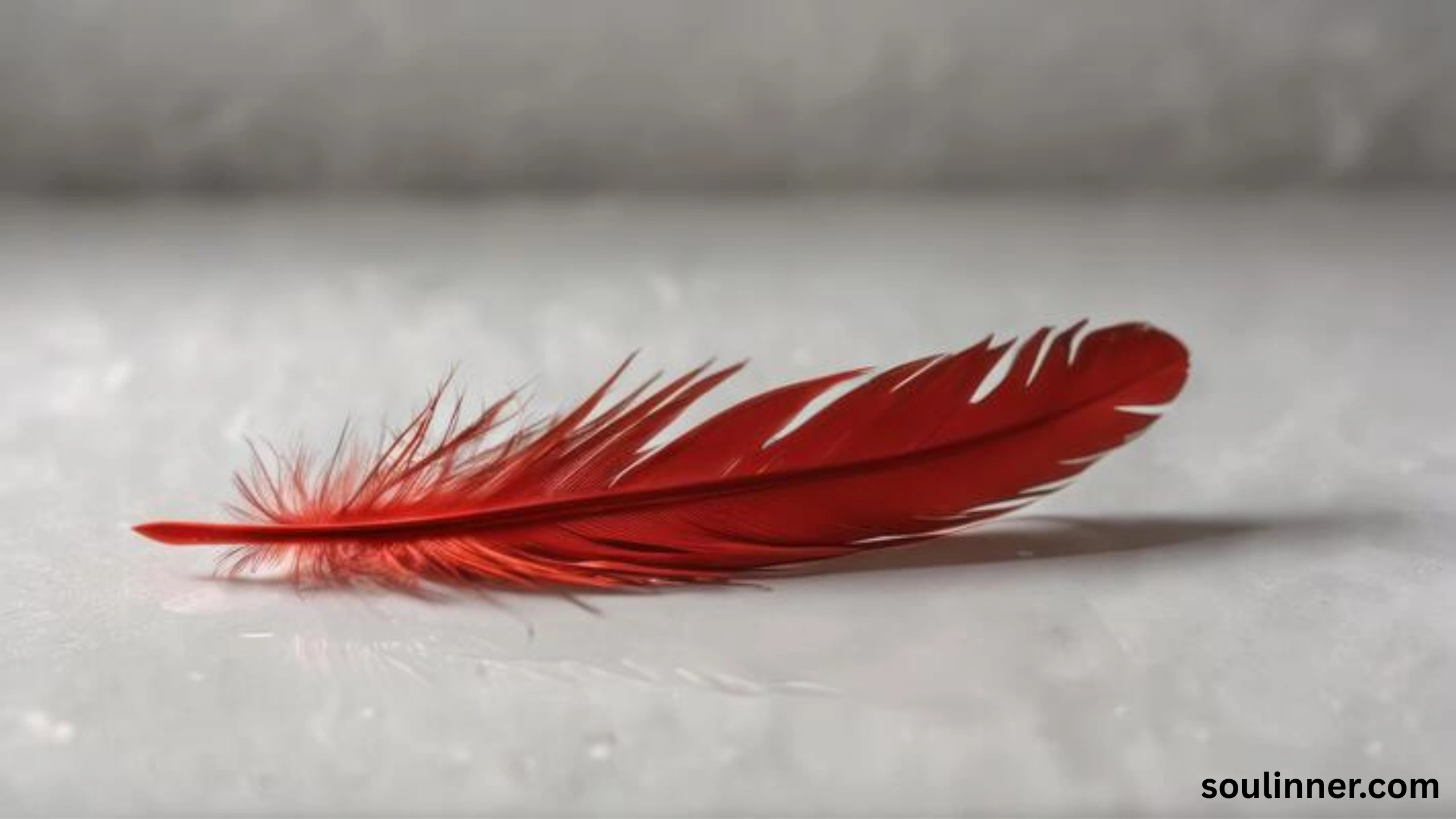 spiritual meaning of red feather