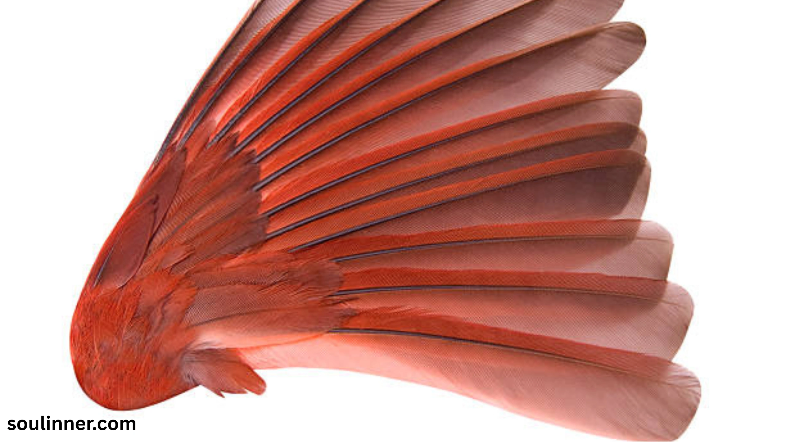 spiritual meaning of red feather