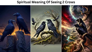 spiritual meaning of seeing 2 crows