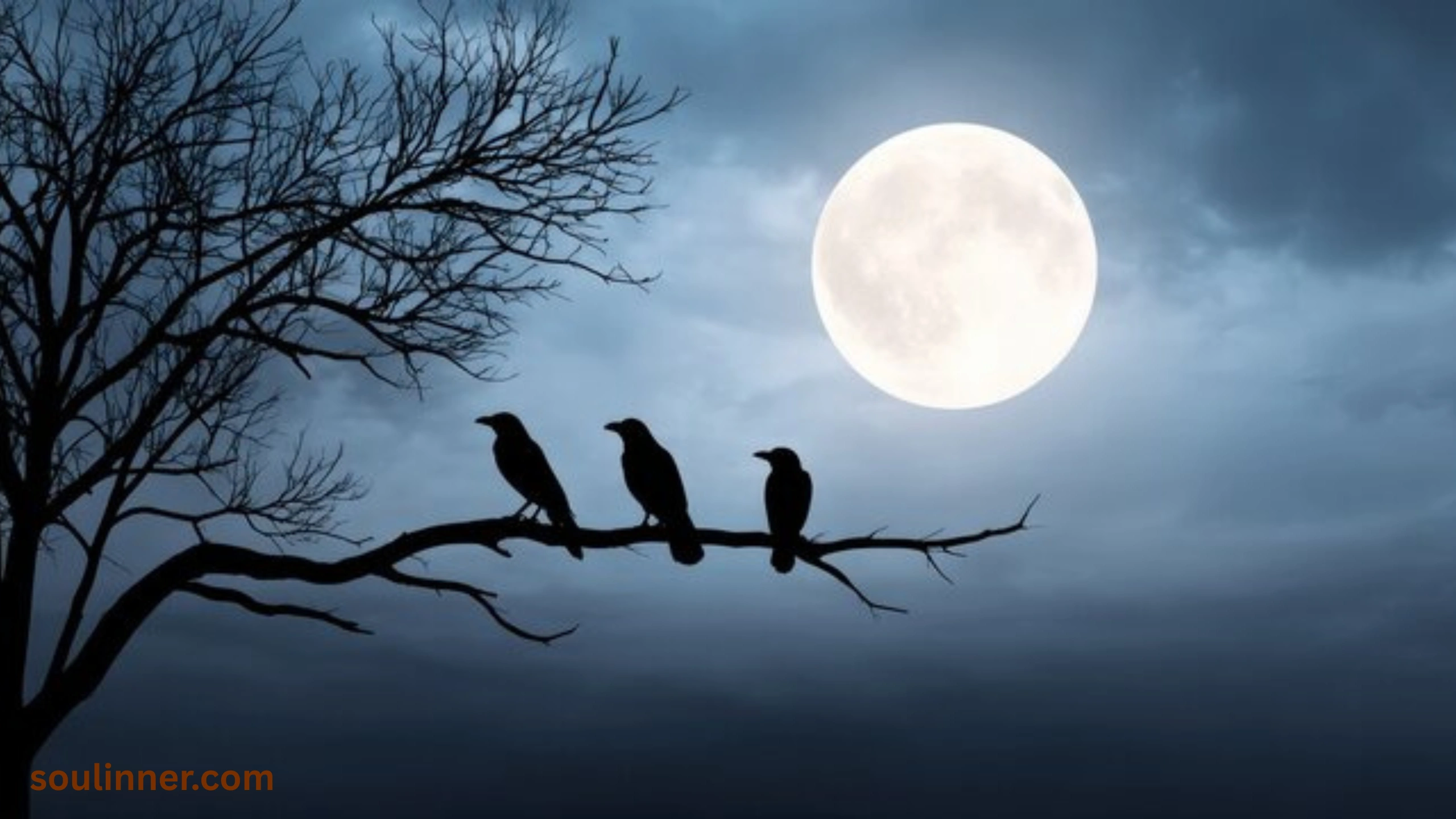 spiritual meaning of seeing 3 crows