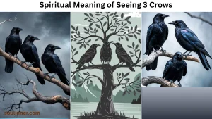 spiritual meaning of seeing 3 crows