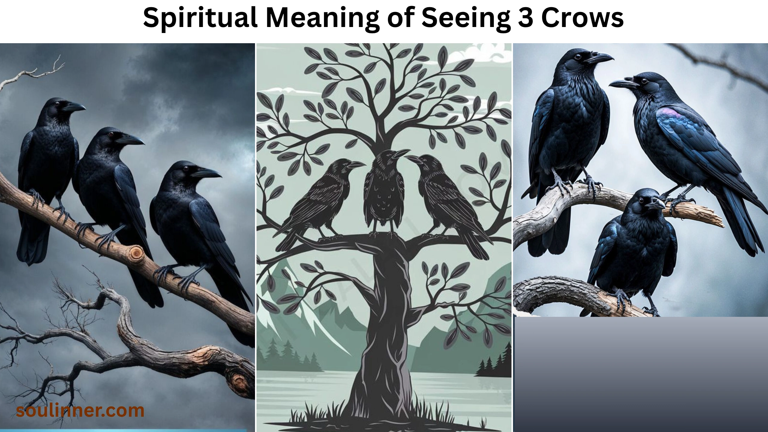 spiritual meaning of seeing 3 crows
