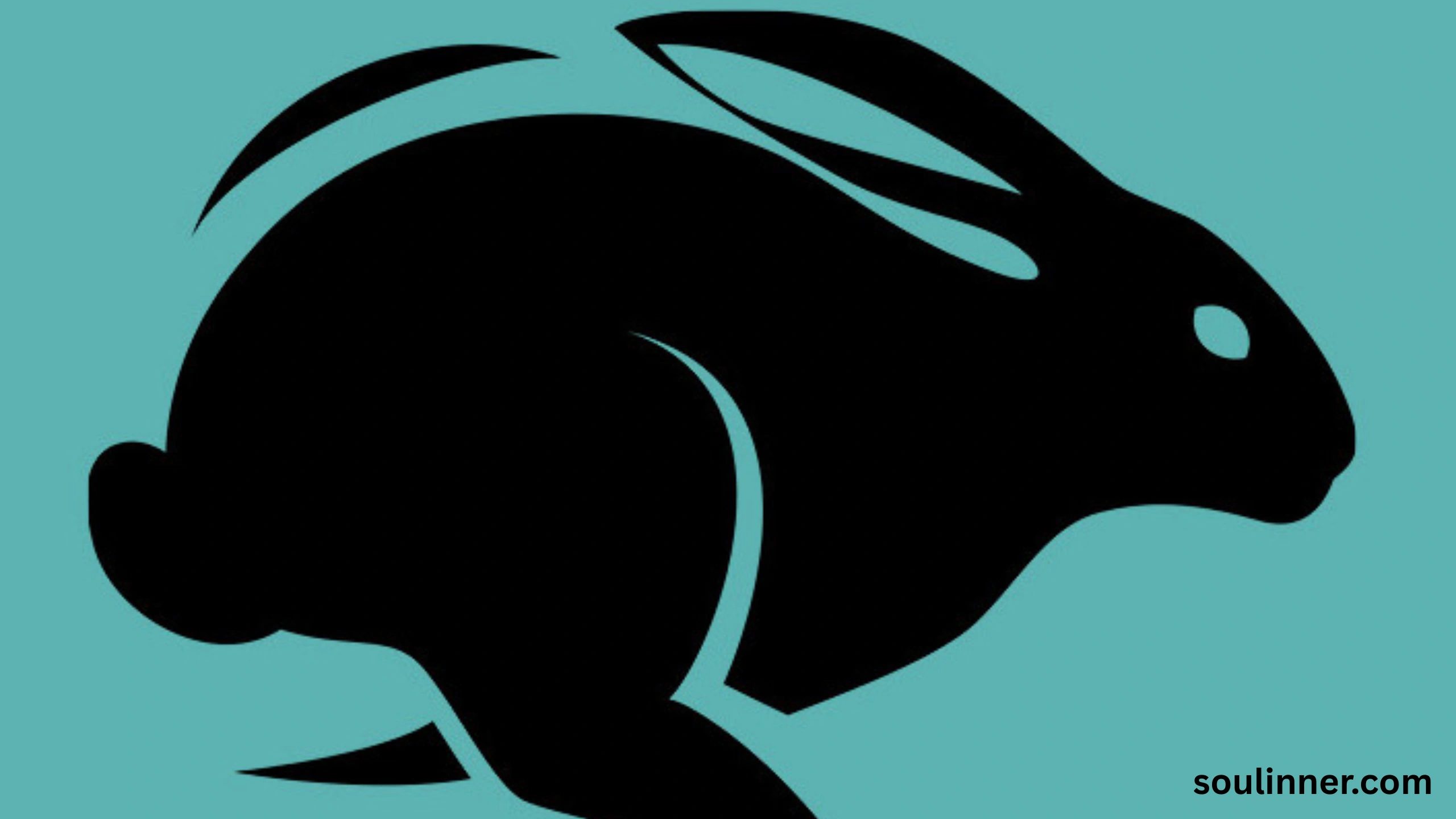 spiritual meaning of seeing a black rabbit
