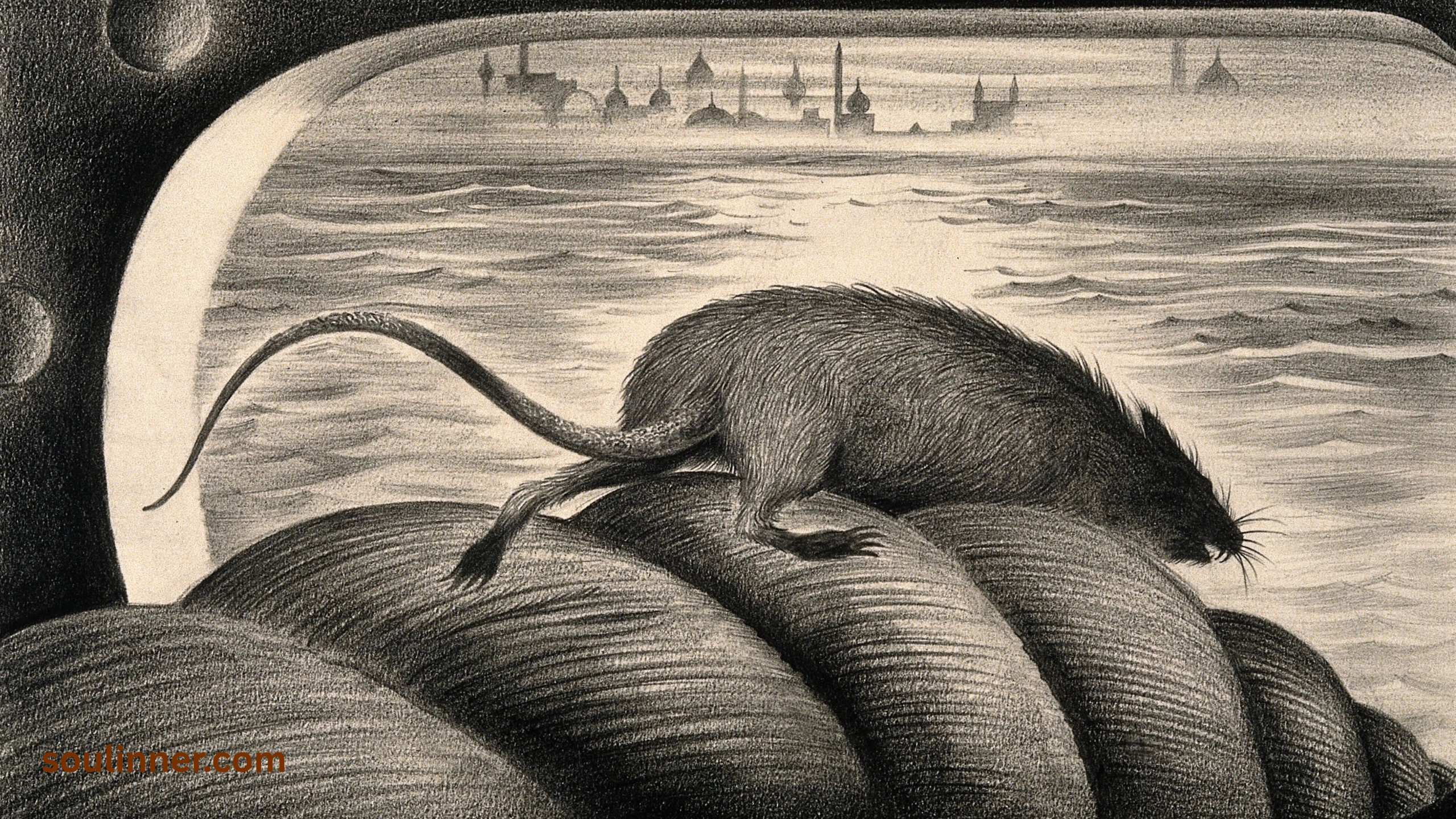 spiritual meaning of seeing a dead rat