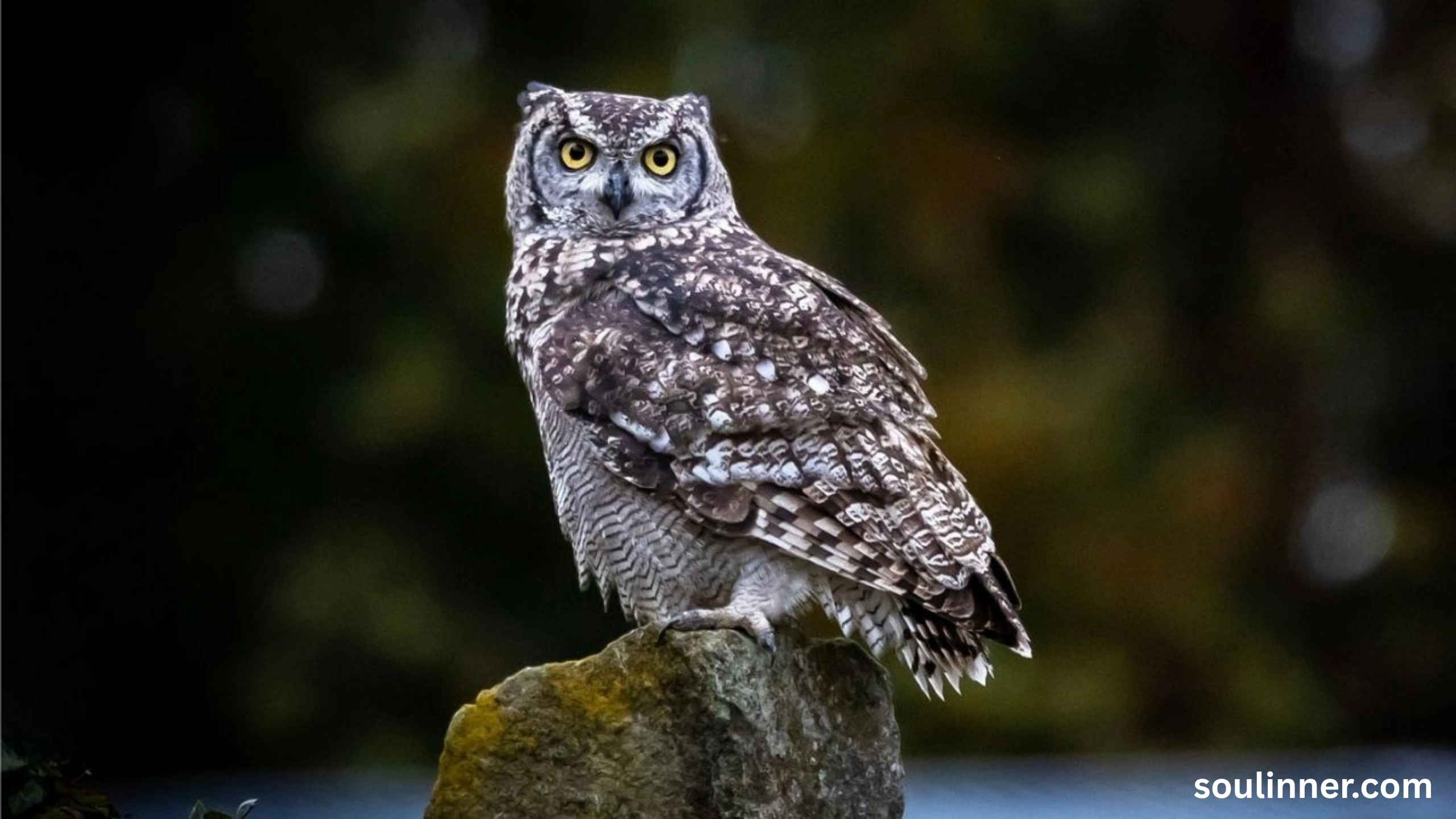 spiritual meaning of seeing an owl at night