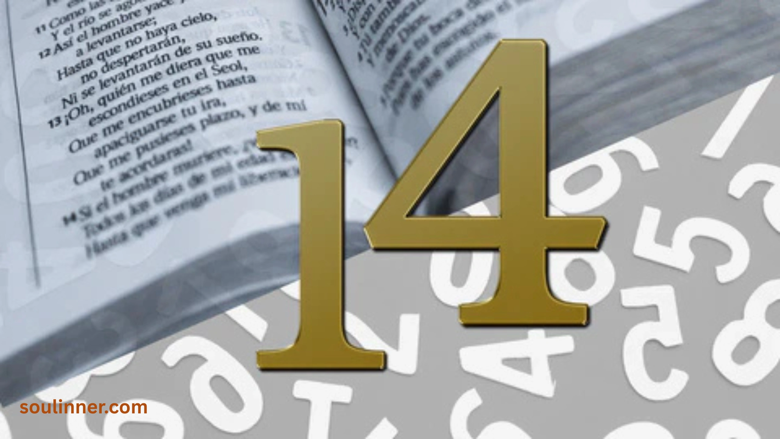 spiritual meaning of the number 14 