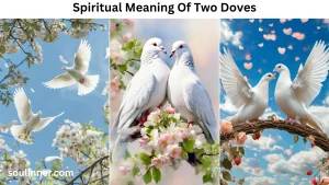 spiritual meaning of two doves