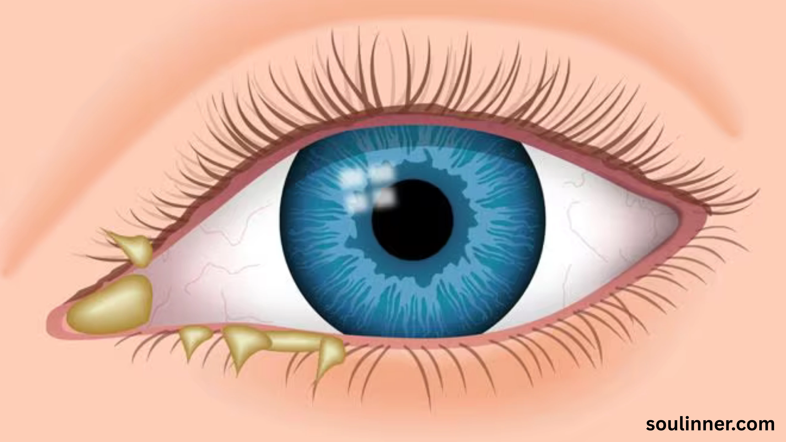 spiritual meaning of white eyes