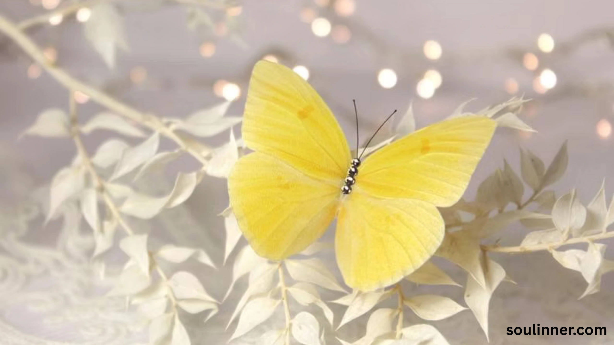 spiritual yellow butterfly meaning in the bible