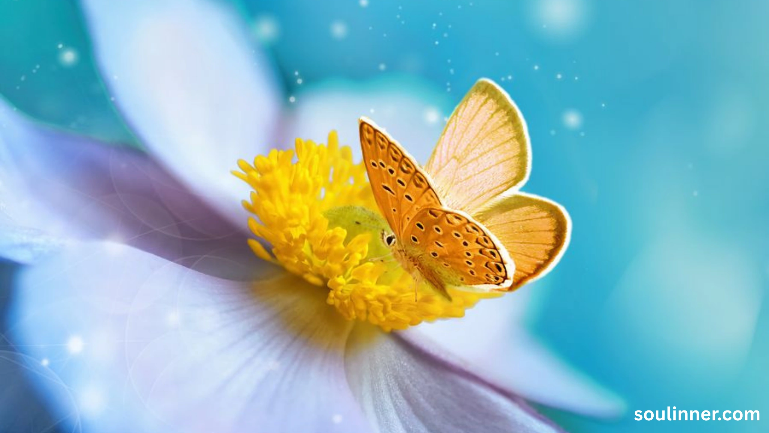 spiritual yellow butterfly meaning in the bible
