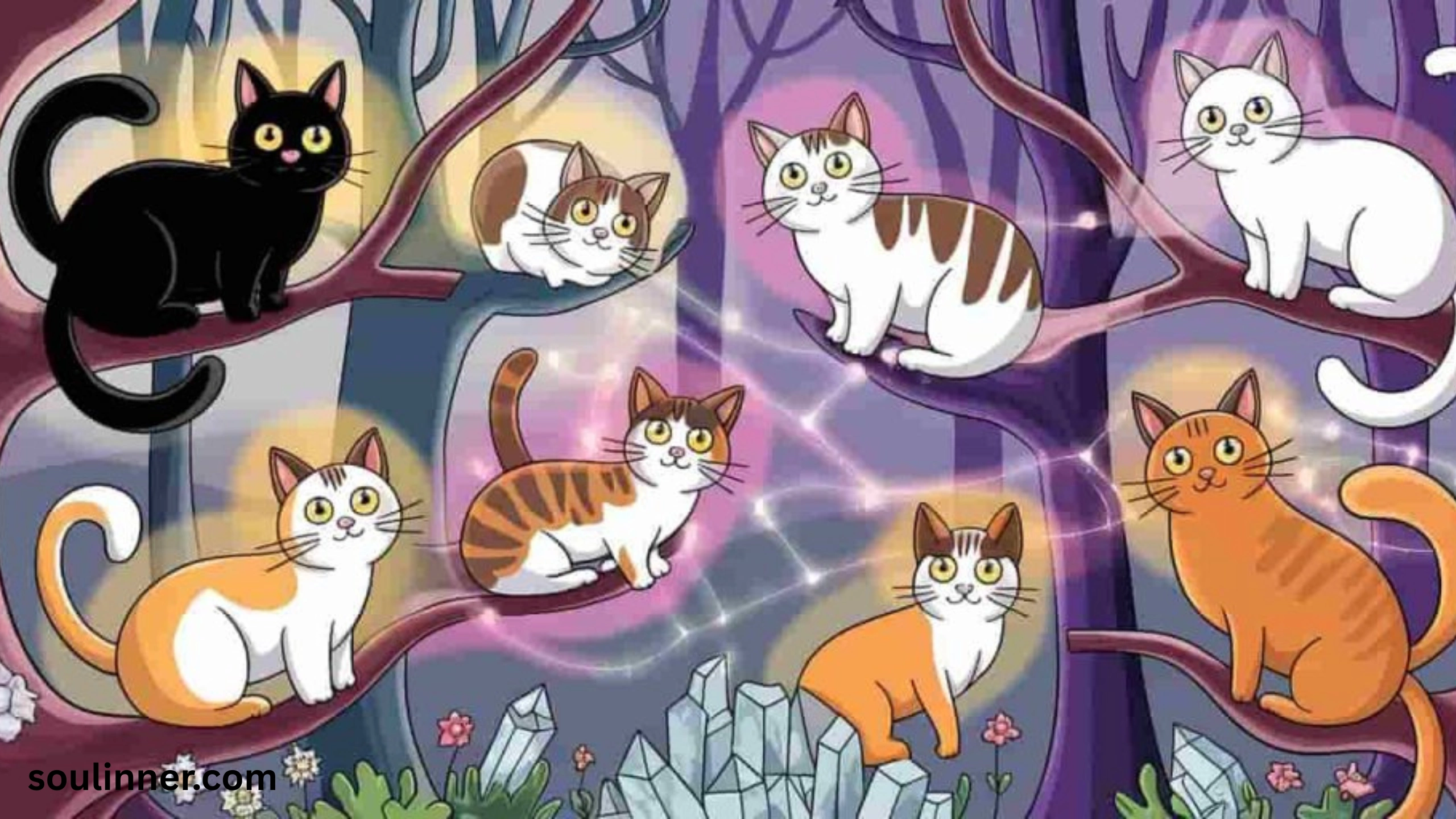 when a stray cat chooses you spiritual meaning