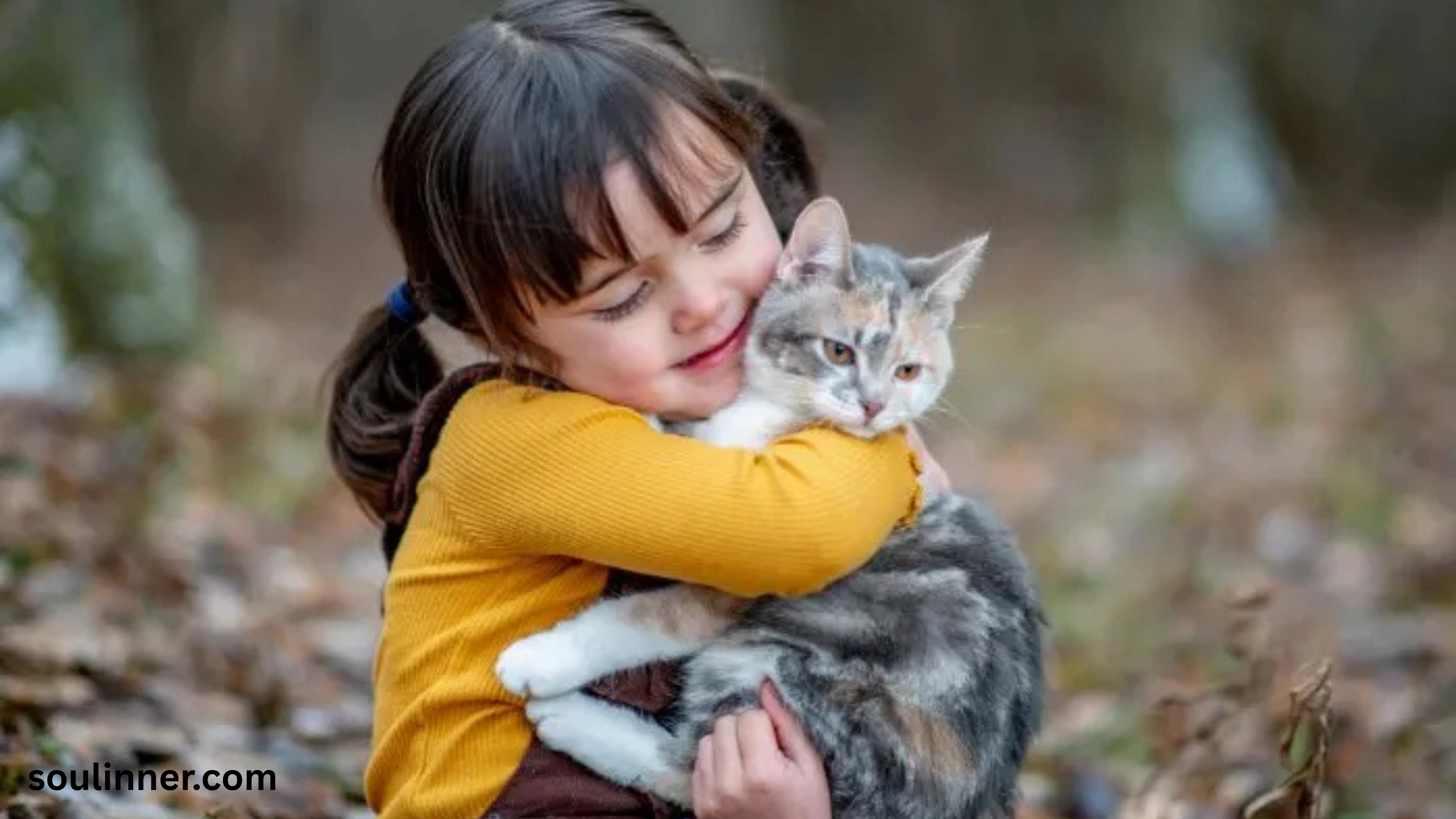 when a stray cat chooses you spiritual meaning