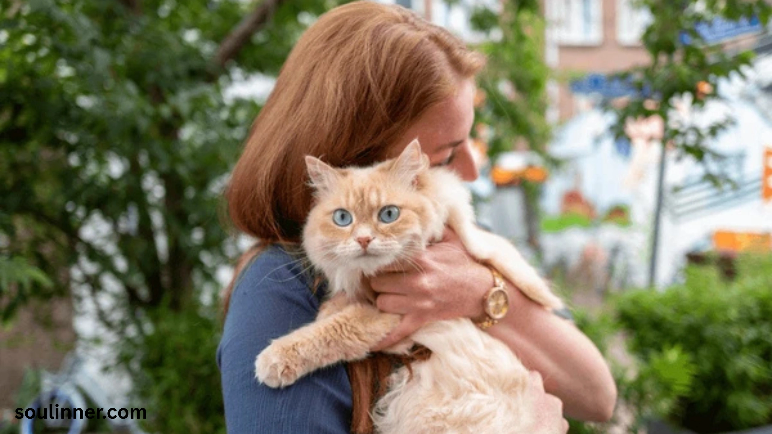 when a stray cat chooses you spiritual meaning