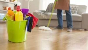 Cleaning Professionals