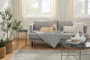 Pet-Friendly Furniture